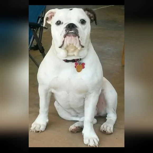 Random Pics - Picture 5 of 6